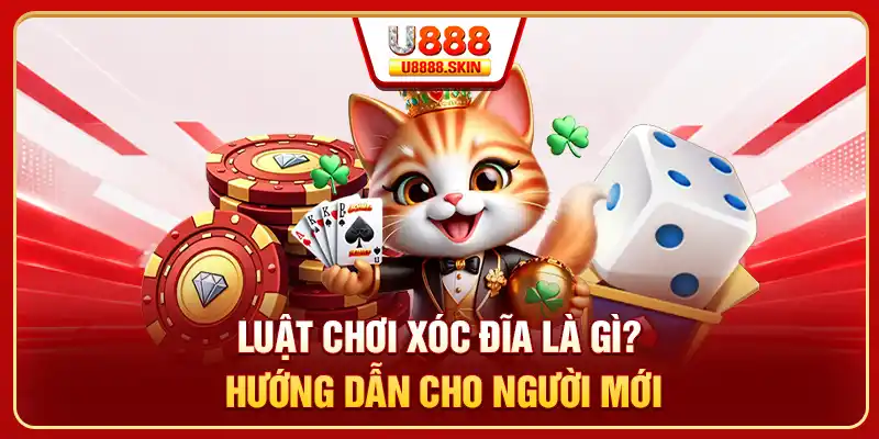 Luật chơi xóc đĩa là gì? Hướng dẫn cho người mới