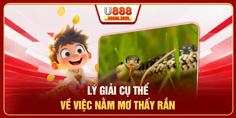 Lý giải cụ thể về việc nằm mơ thấy rắn